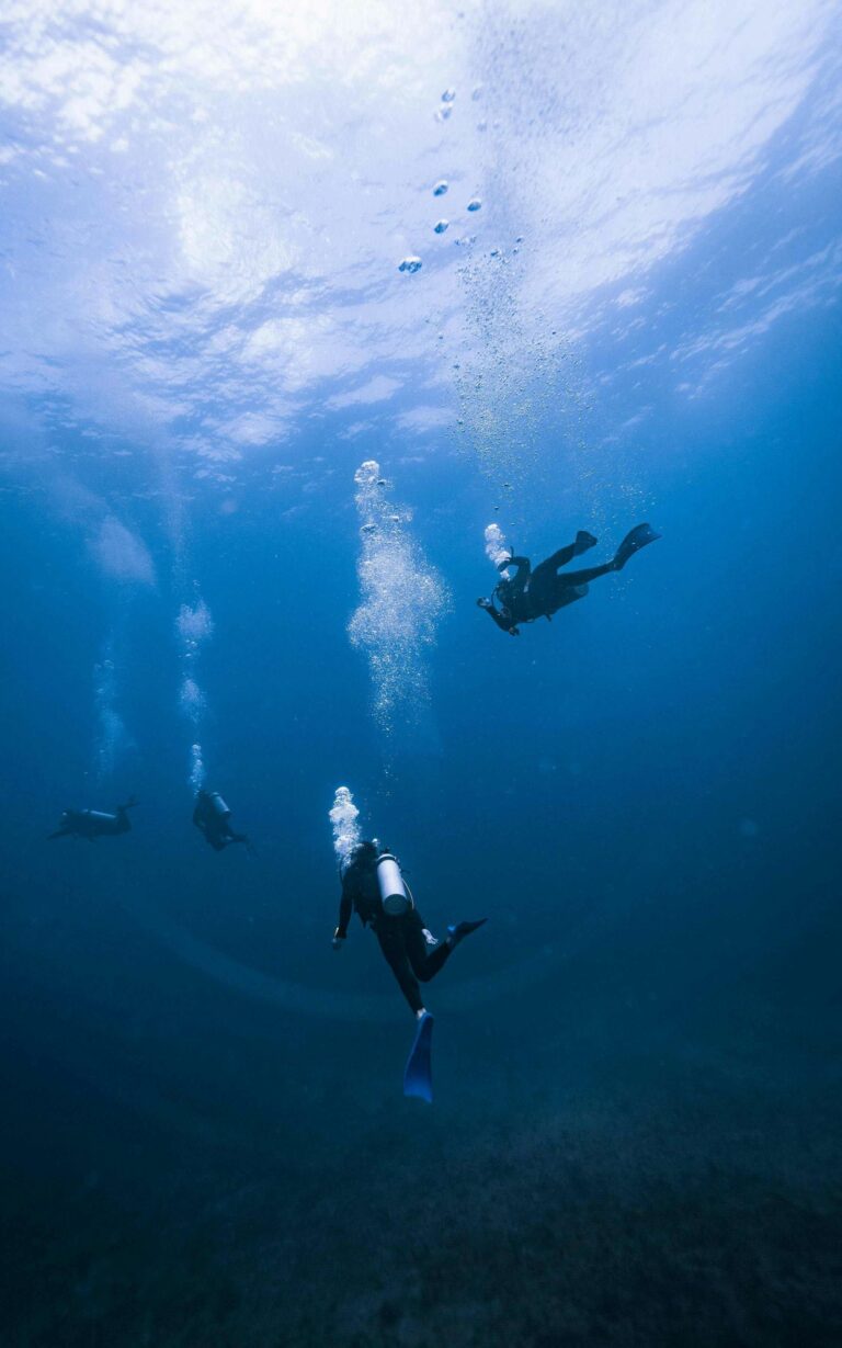 AquaDivePro software gestionale per diving center nato all’Isola d’Elba