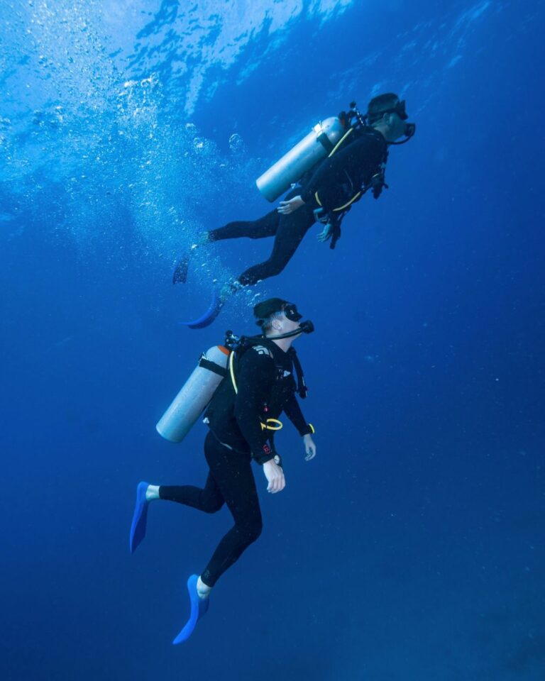 Gruppo di subacquei durante un'immersione in mare